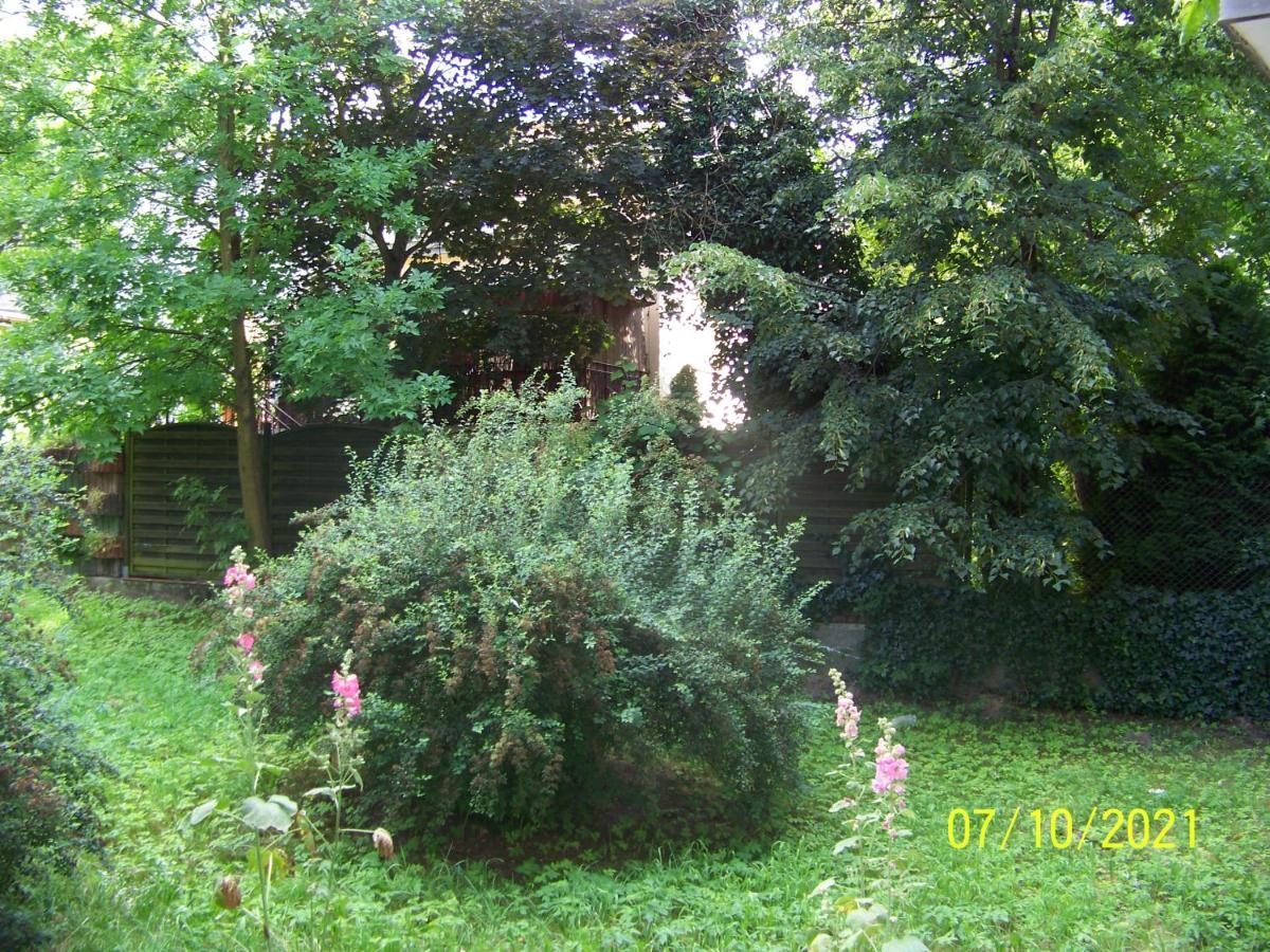 Zielony Apartament, Kielce, Targi, Centrum Exterior foto